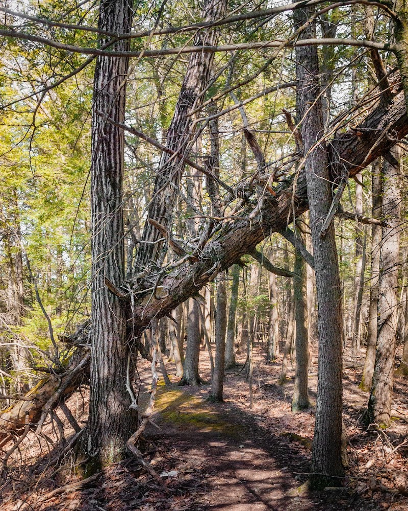 Bear Hole Reservoir Parking - West Springfield, MA