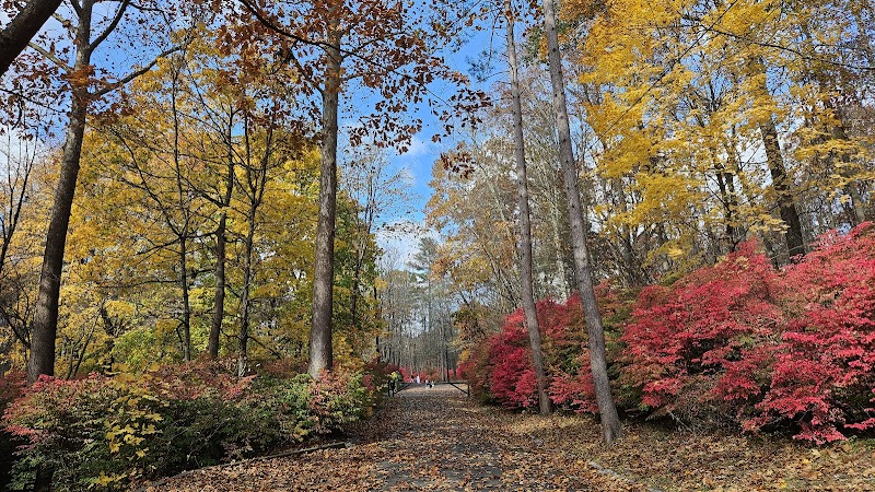 Mittineague Park - West Springfield, MA