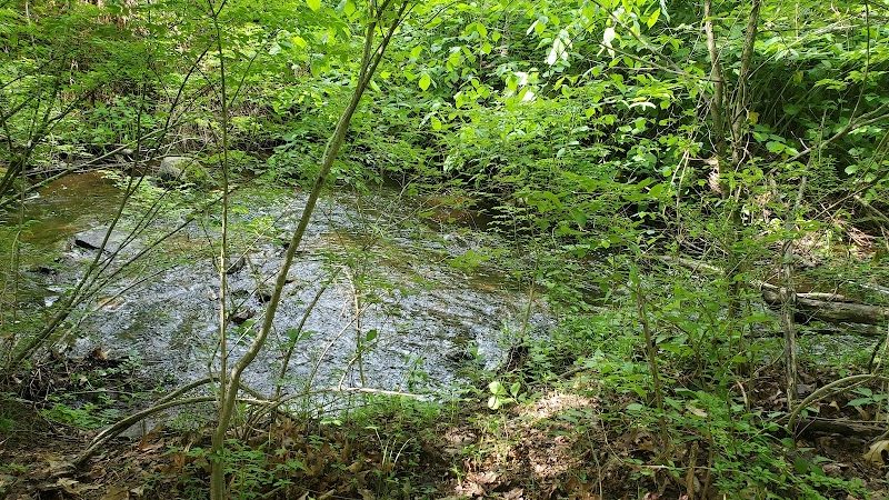 Mittineague Park - West Springfield, MA
