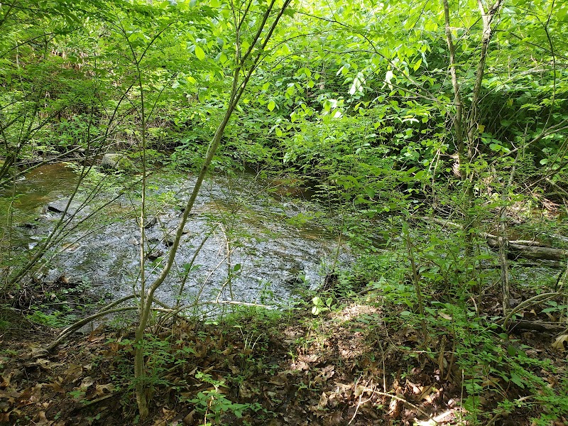 Mittineague Park - West Springfield, MA