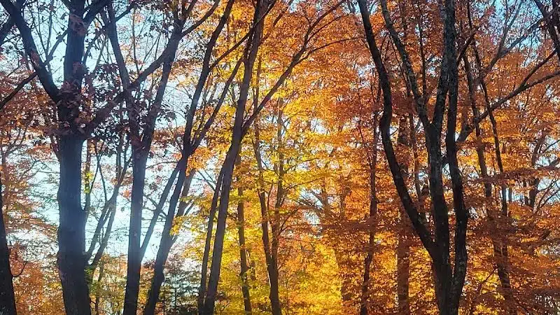 Mittineague Park - West Springfield, MA