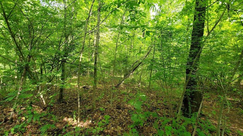 Mittineague Park - West Springfield, MA