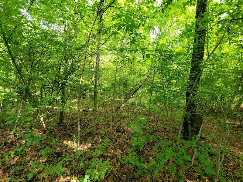 Mittineague Park - West Springfield, MA