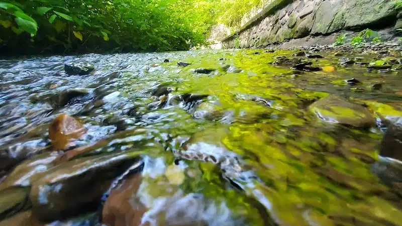 Mittineague Park - West Springfield, MA