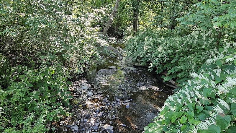 Mittineague Park - Conservation area - West Springfield, MA