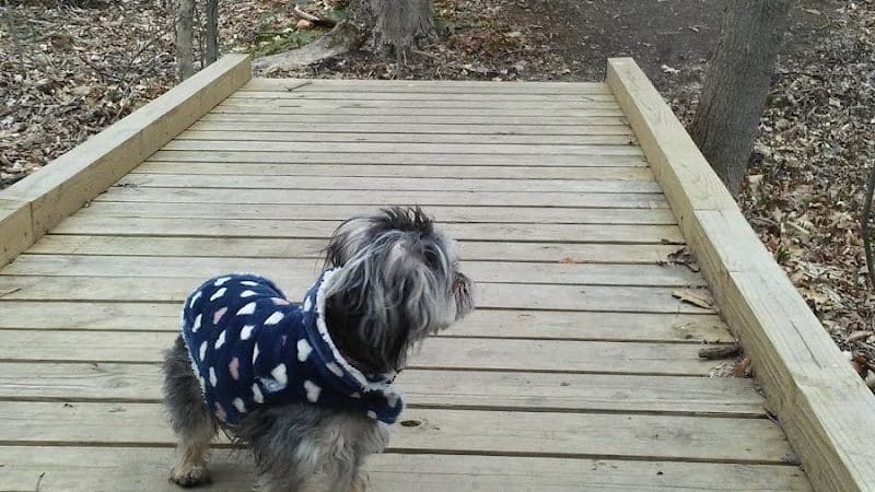 Mittineague Park - Conservation area - West Springfield, MA