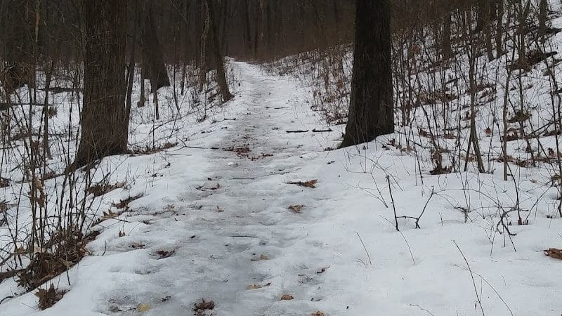 Mittineague Park - Conservation area - West Springfield, MA