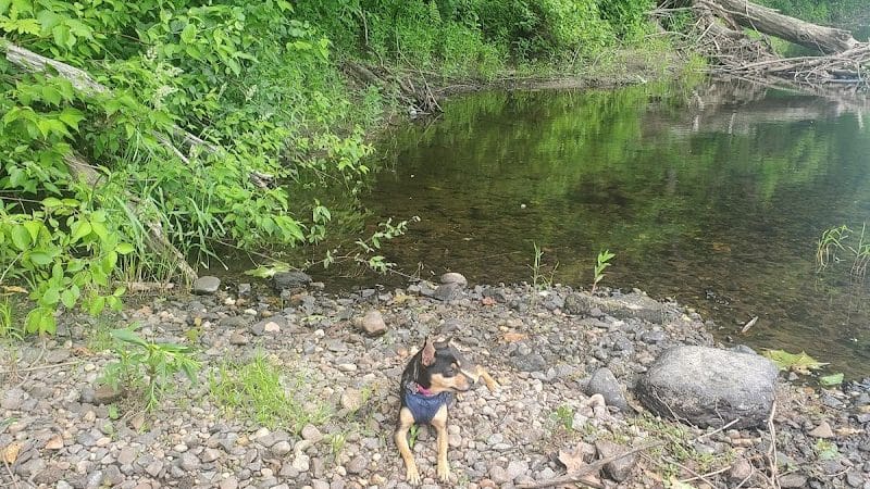 Mittineague Park - Conservation area - West Springfield, MA