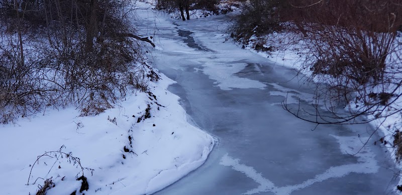 Mittineague Park - Conservation area - West Springfield, MA