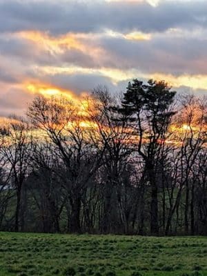 Tufts Farm Field