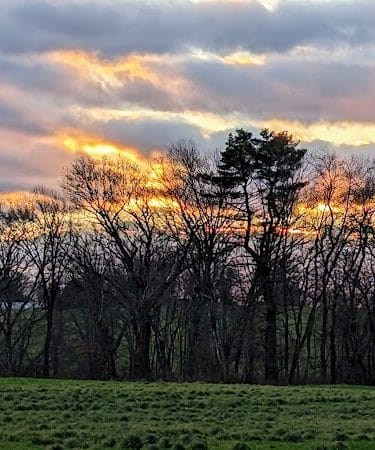 Tufts Farm Field