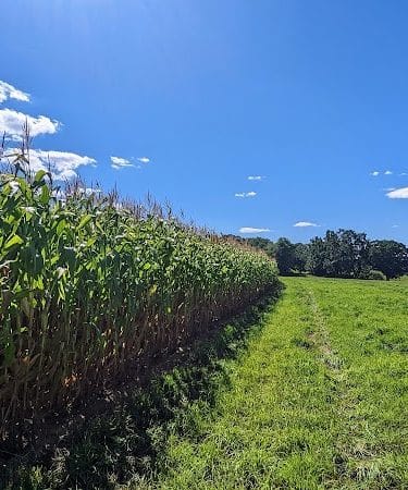 Tufts Farm Field
