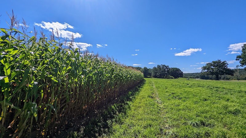 Tufts Farm Field - Westborough, MA