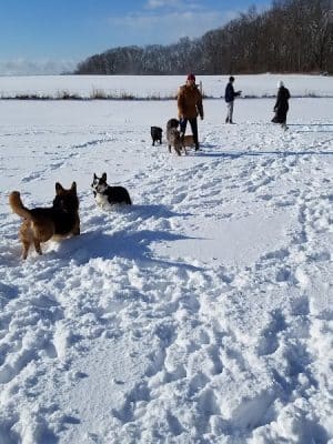 Tufts Farm Field
