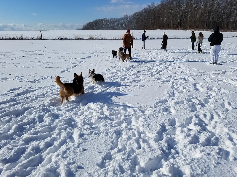 Tufts Farm Field - Westborough, MA