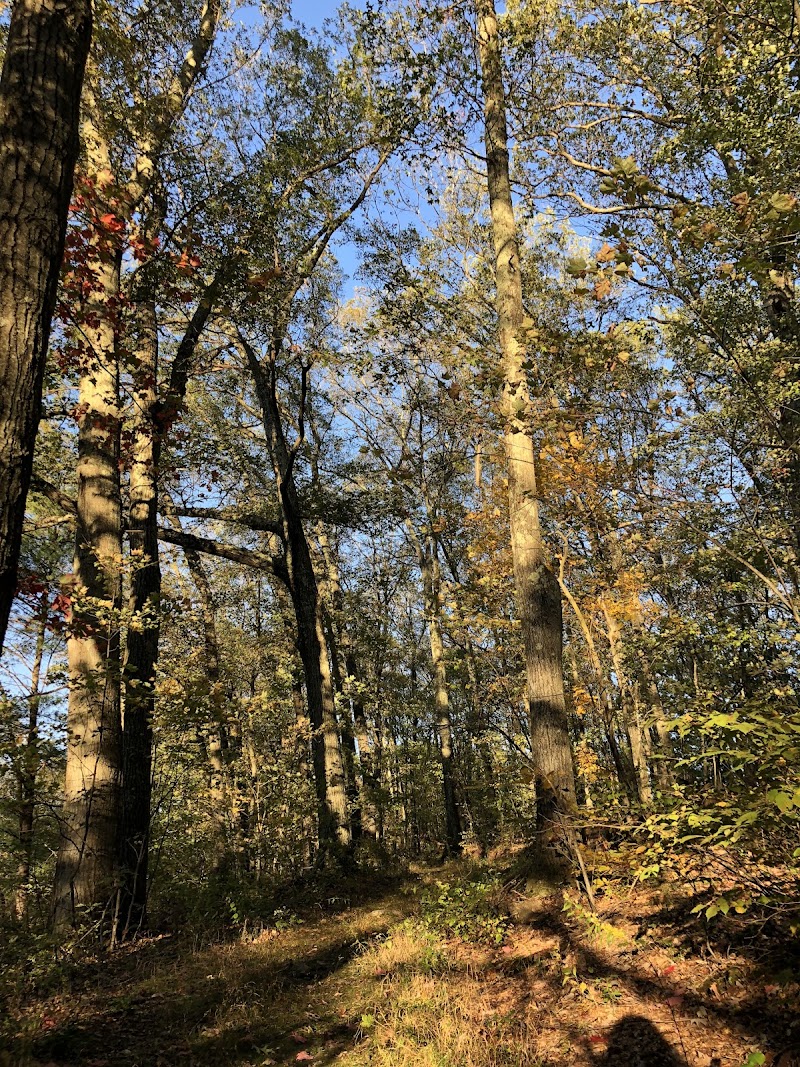 Tufts Farm Field - Westborough, MA