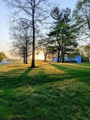 Tufts Farm Field