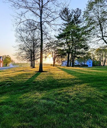 Tufts Farm Field