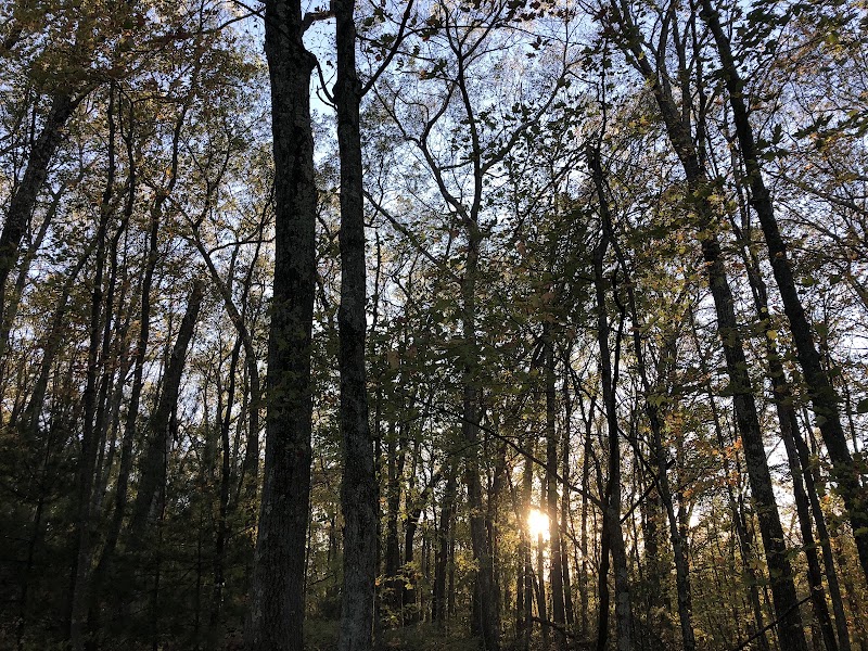Tufts Farm Field - Westborough, MA