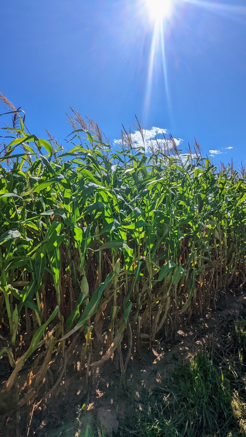 Tufts Farm Field - Westborough, MA