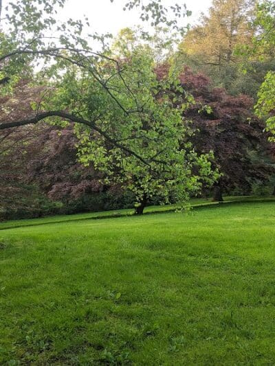 Bisceglie Park - Weston, CT