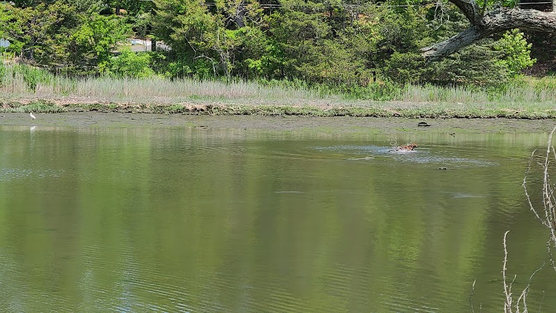 Grace K. Salmon Park - Westport, CT