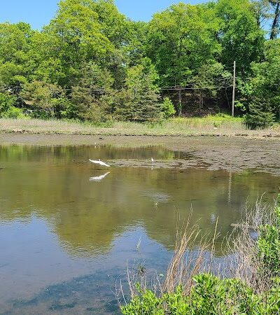 Grace K. Salmon Park - Westport, CT