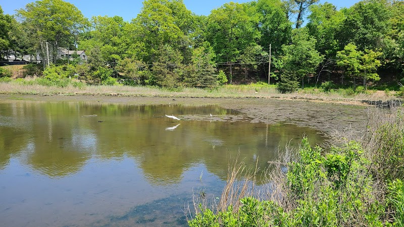 Grace K. Salmon Park - Westport, CT
