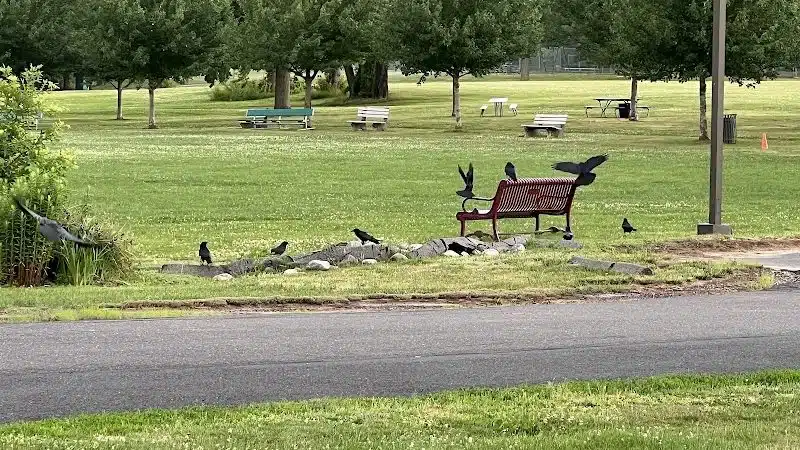 Mill Woods Park - Wethersfield, CT