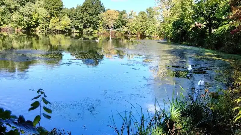 Mill Woods Park - Wethersfield, CT