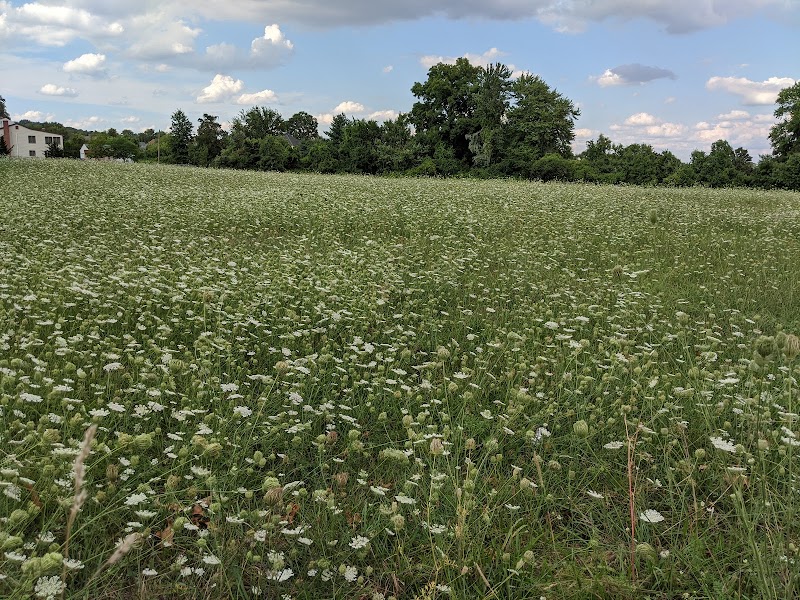 Wilkus Farm Preserved Open Space - Wethersfield, CT