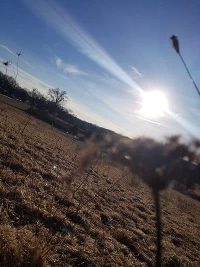 Wilkus Farm Preserved Open Space - Wethersfield, CT