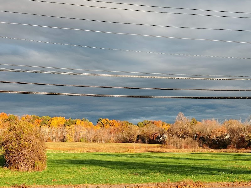 Wilkus Farm Preserved Open Space - Wethersfield, CT