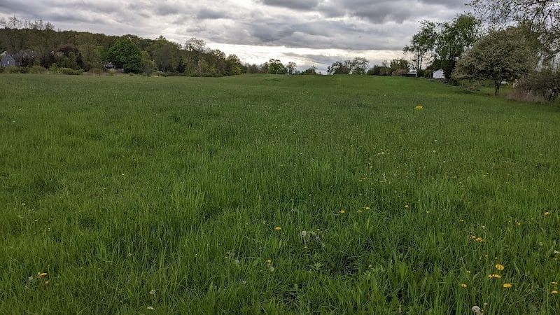 Wilkus Farm Preserved Open Space - Wethersfield, CT