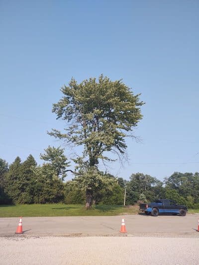 Stevenson Park - Weyauwega, WI