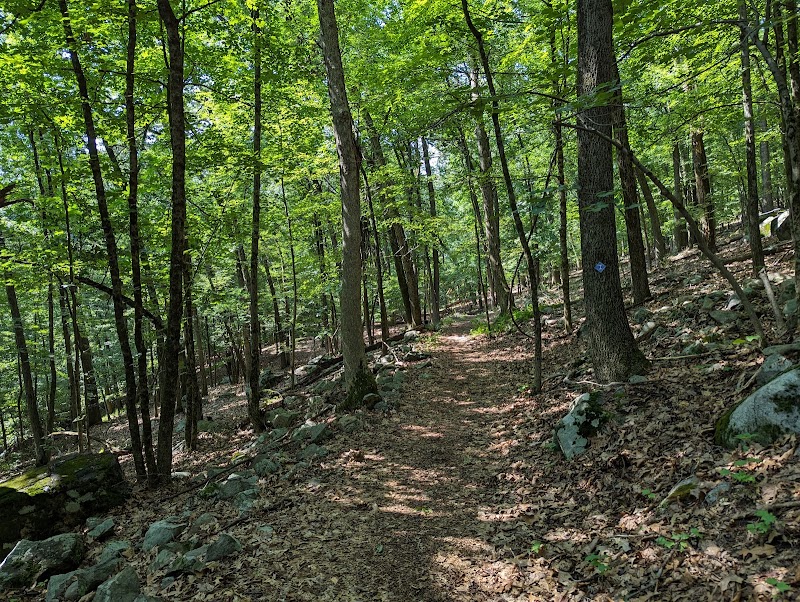 Irondale Mountain Trails - Wharton, NJ