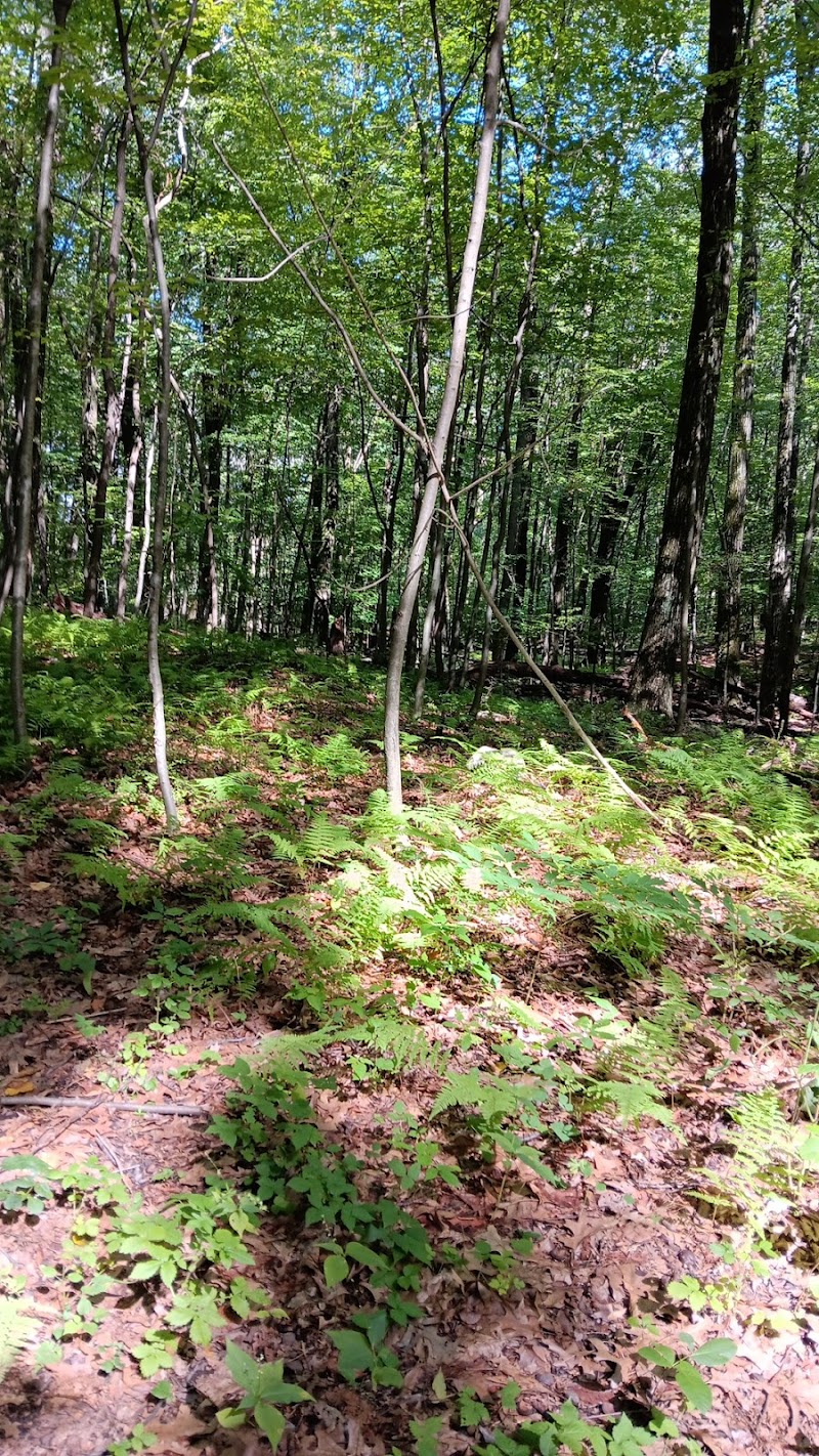 Irondale Mountain Trails - Wharton, NJ
