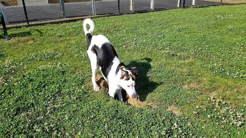 Wharton Dog Park - Wharton, NJ