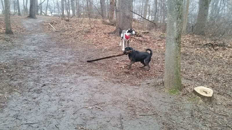 East Rumbrook Park - White Plains, NY
