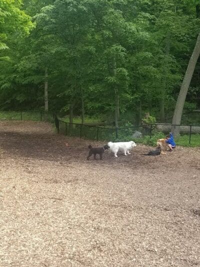 East Rumbrook Park - White Plains, NY