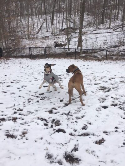 East Rumbrook Park - White Plains, NY