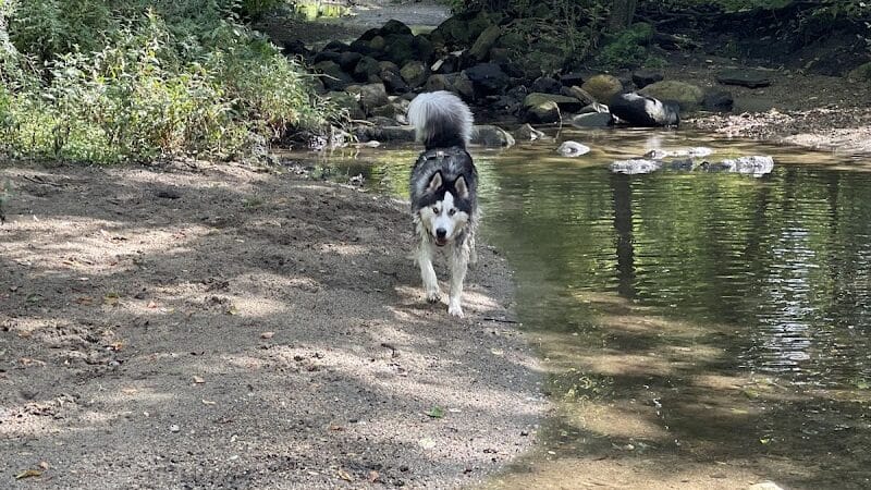 East Rumbrook Park - White Plains, NY
