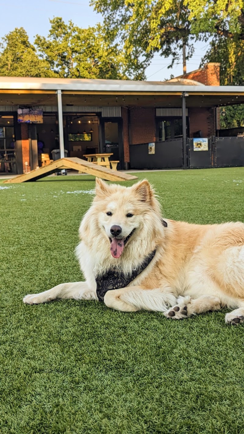Barks & Brews - Wichita, KS