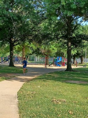 Buffalo Park