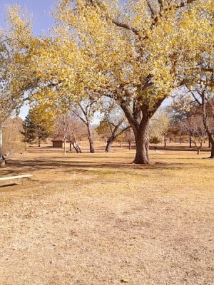 Buffalo Park