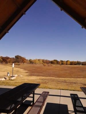 Buffalo Park