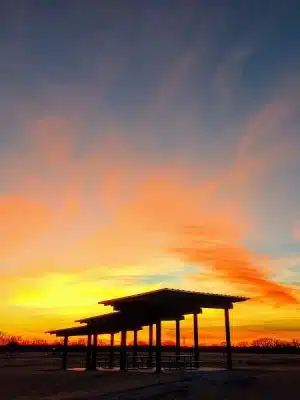 Chapin Park