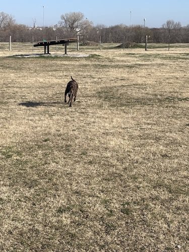 Chapin Park