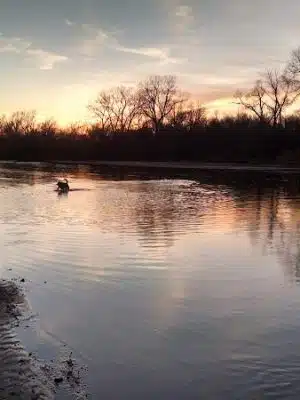 Chapin Park
