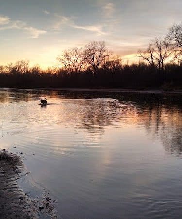 Chapin Park